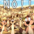 NO!!