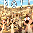 NO!!