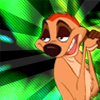 Timon - avvie