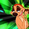 Timon - avvie