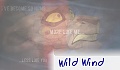 Wild Wind