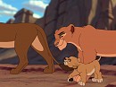 Walking With Lionesses