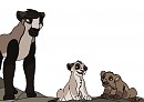 Holiday Gifts-Windhowler, Gums, and Pawface