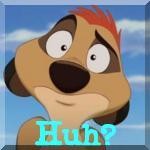 Timon avi =3