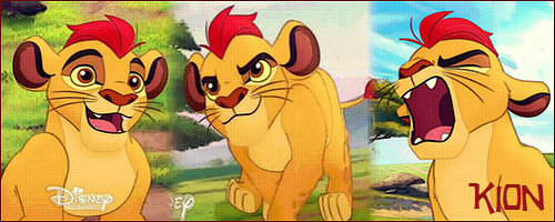 Kion signature