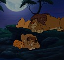 The Lions Sleep Tonight 