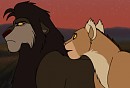 The Search For The Thief