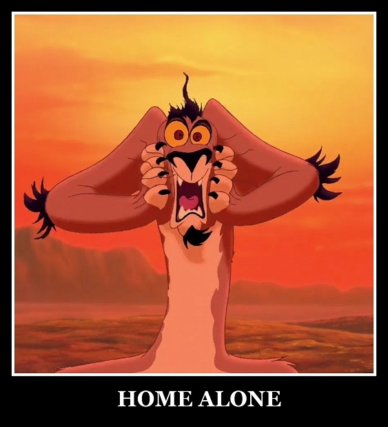 Home Alone Meme