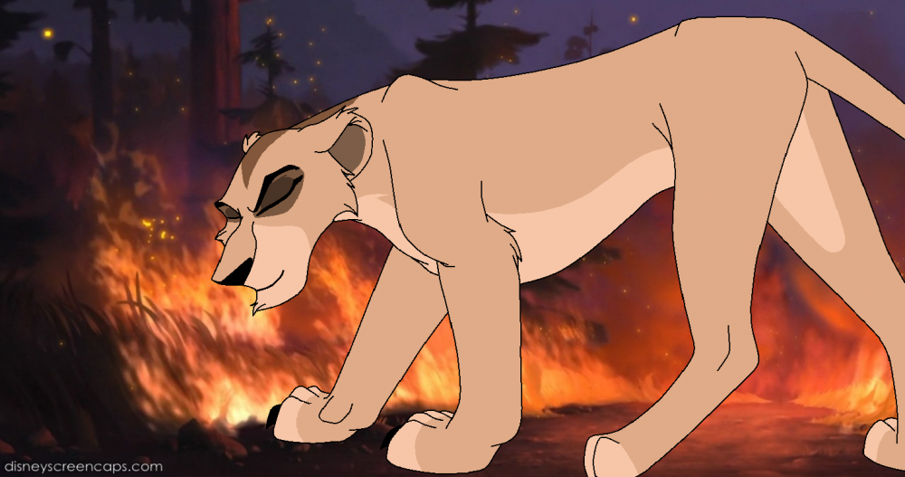 Blame Zira...
