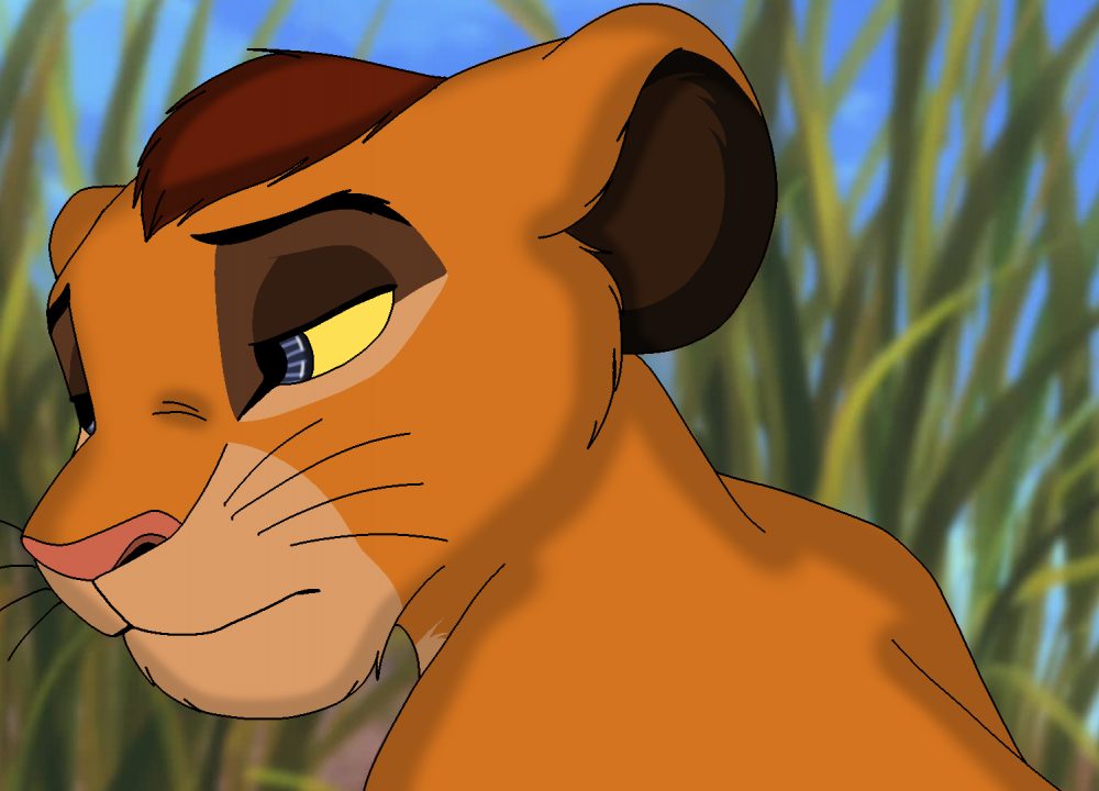 Kopa