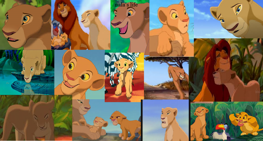 nala's life