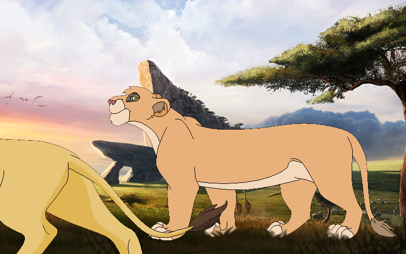 A walk in the kingdom