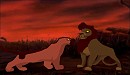 Zanga and Mara