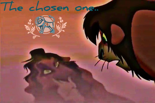 The chosen one..