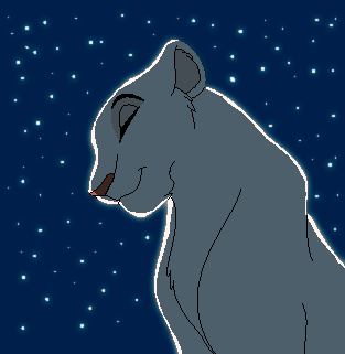 Beatiful night