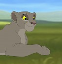 Baridi
