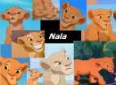 Nala