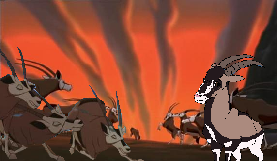 Me and the Oryx/Gemsbok Herd