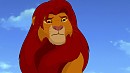 simba color study
