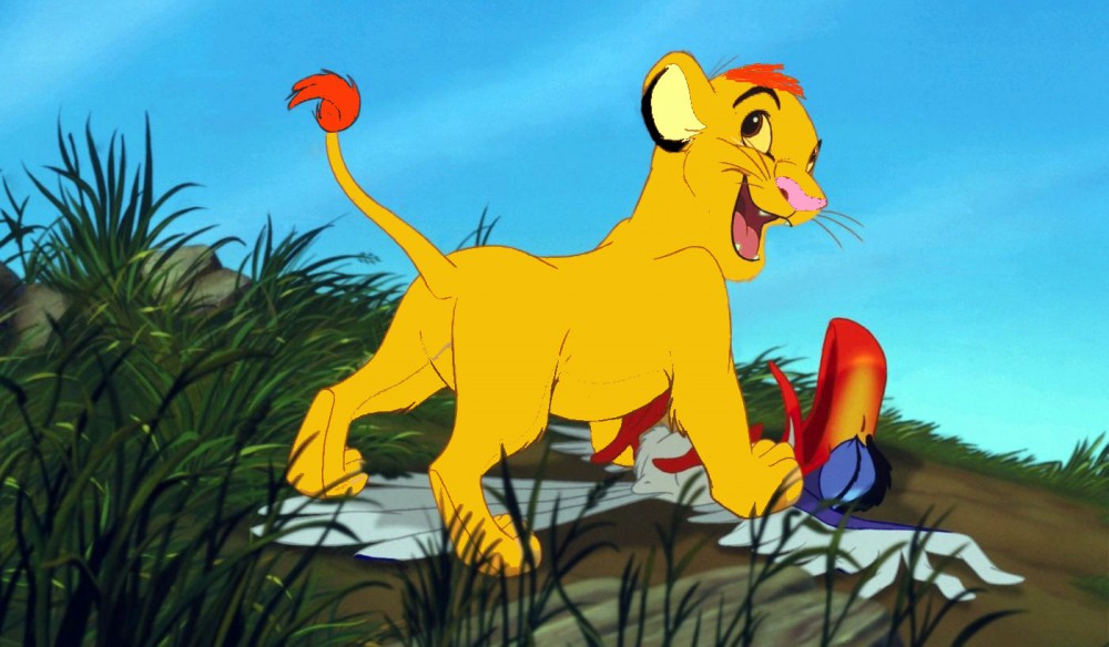 pauvre zazu 
