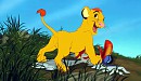 pauvre zazu 