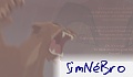 SimNéBro