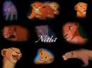 Nala