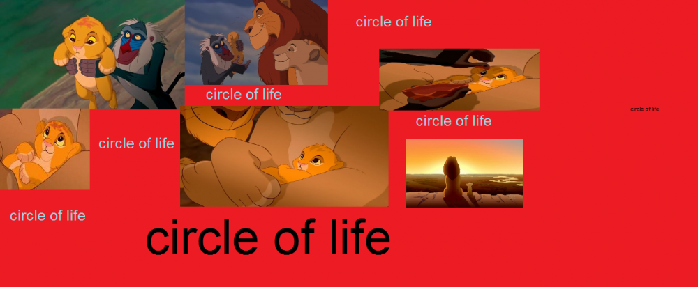 circle of life