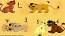 Adoption 3
