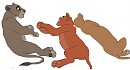 Spotty,Digger et Vitani se reposent