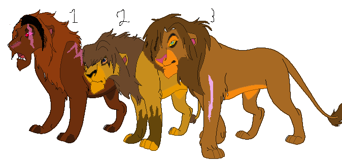 Male adoption