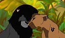 Cadeau pour Shaymiin et Jadnala