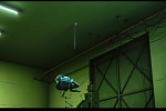 Despicable Me picture