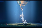 Despicable Me 2 picture