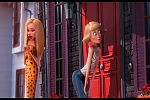 Despicable Me 2 picture