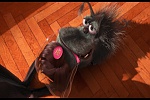 Despicable Me 2 picture