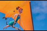 Despicable Me 2 picture