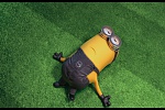 Despicable Me 2 picture