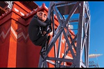 Despicable Me 2 picture