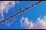 Despicable Me 2 picture