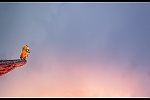 Minions picture