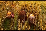 Minions picture