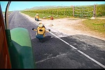 Minions picture