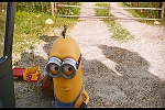 Minions picture