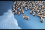 Minions picture