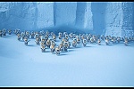 Minions picture