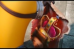 Minions picture