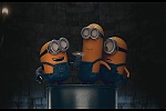 Minions picture