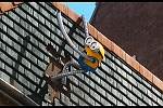 Minions picture
