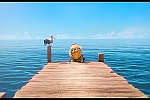 Minions picture